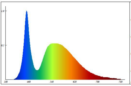 High color temperature blue chip type white LED spectrum